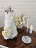 Custom acrylic wedding cake topper